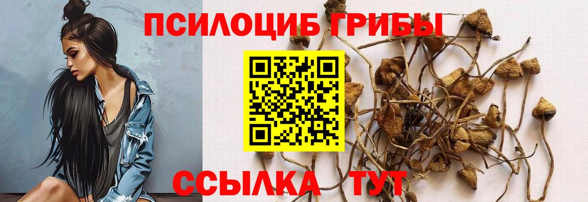 Псилоцибиновые грибы Magic Shrooms  Вход с VPN  Кувандык  Галлюциногенные грибы Cubensis 