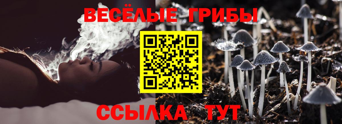 Галлюциногенные грибы прущие грибы Кувандык